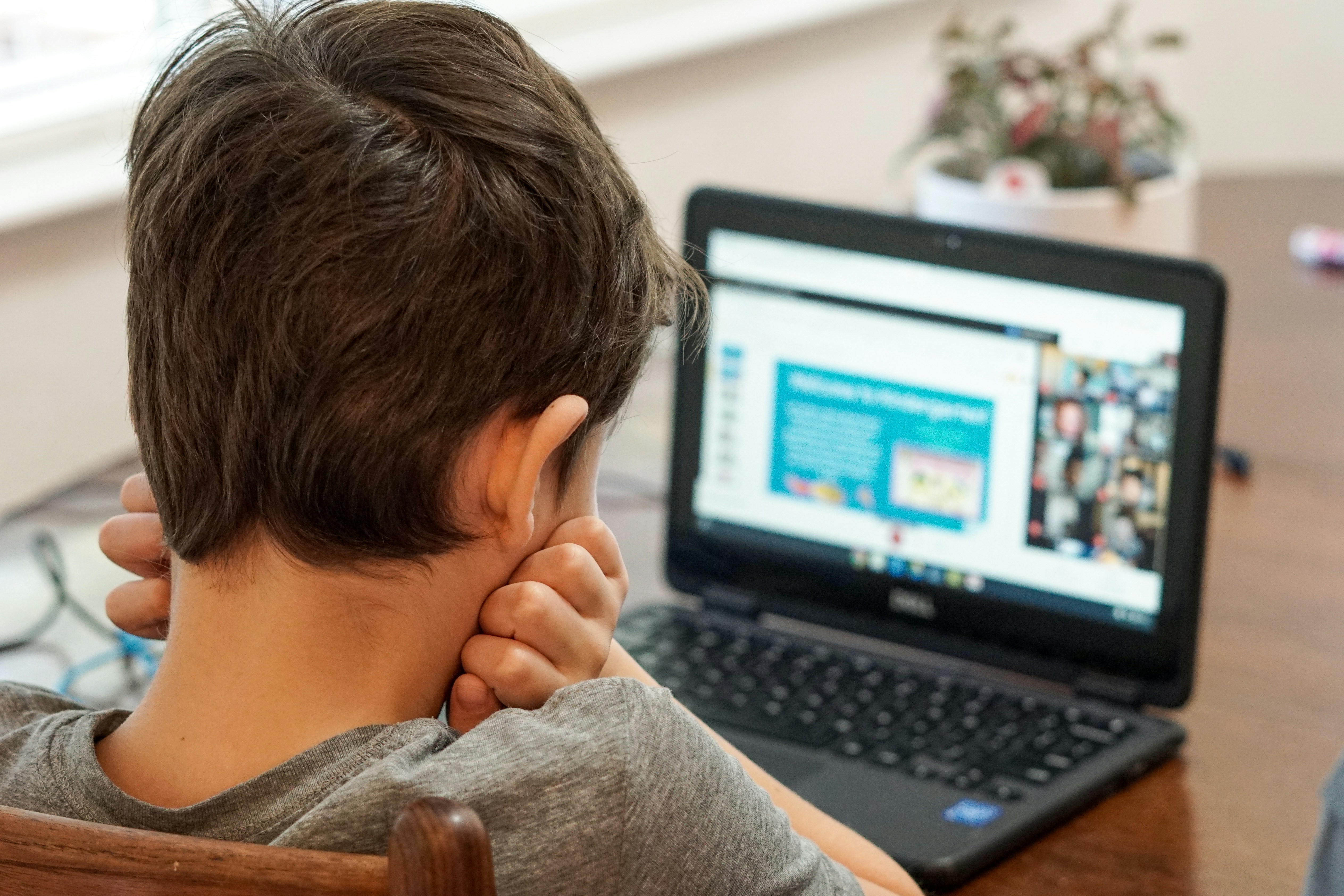 Junge im grauen Hemd sitzt am Küchentisch mit schwarzem Laptop