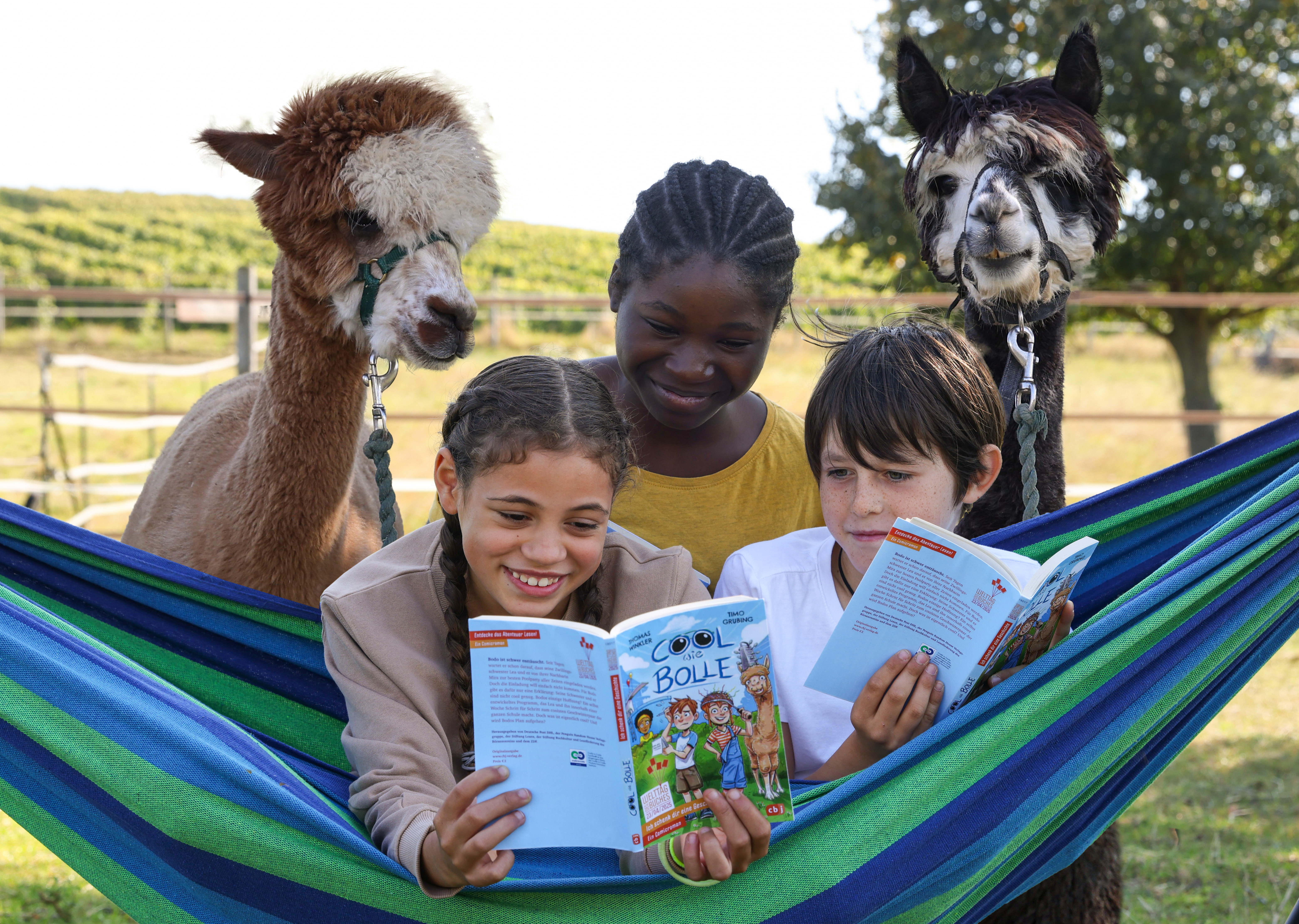 Die Protagonisten des Romans "Cool wie Bolle", Bodo, Lea und Mira, liegen in einer Hängematte und lesen im aktuellen Welttagsbuch. Hinter ihnen versuchen zwei Alpakas, ebenfalls einen Blick ins Buch zu erhaschen.