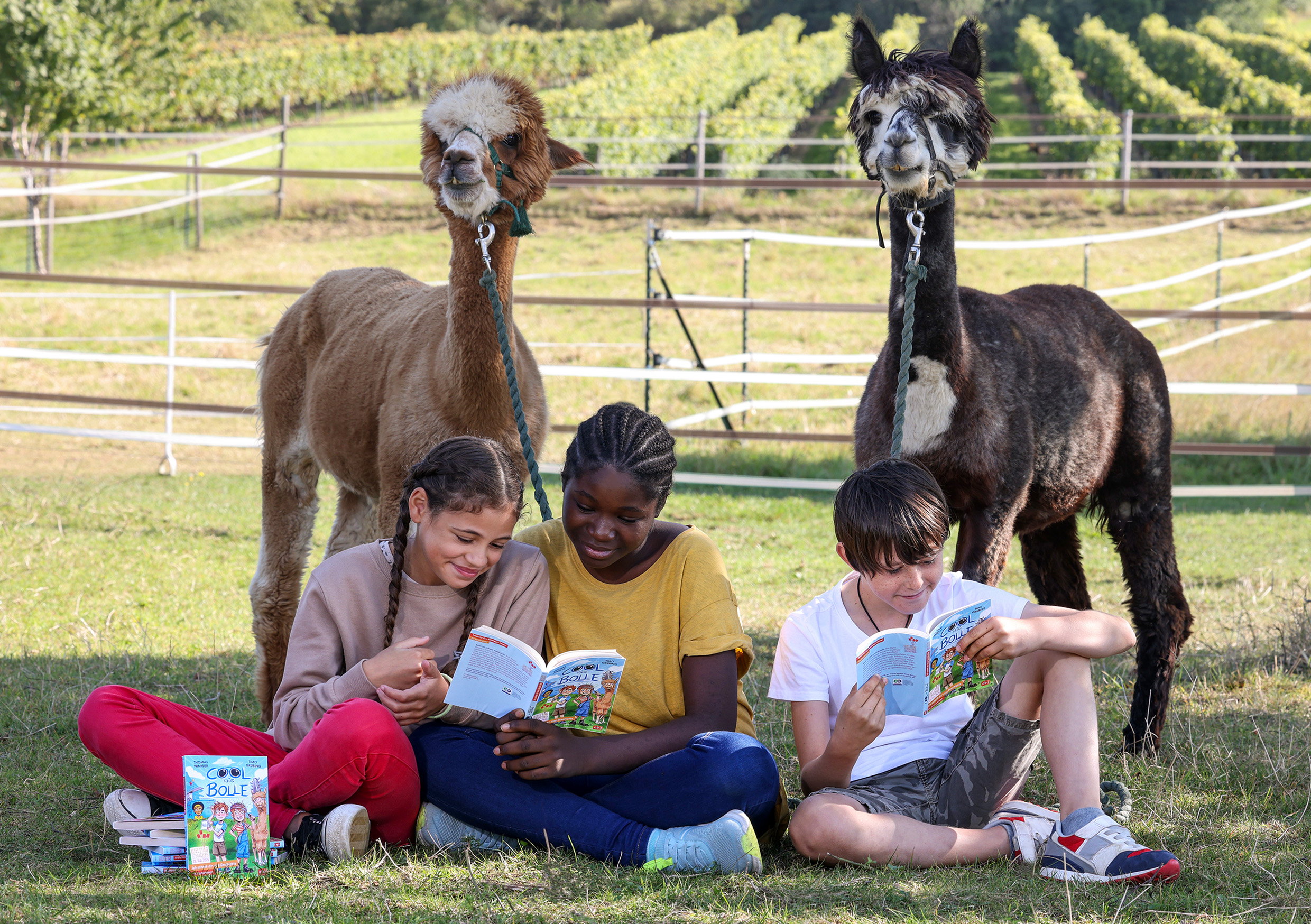 Auf einer Wiese sitzen drei Kinder und lesen im Welttagsbuch Cool wie Bolle. Dahinter stehen zwei interessierte Alpakas und schauen zu.